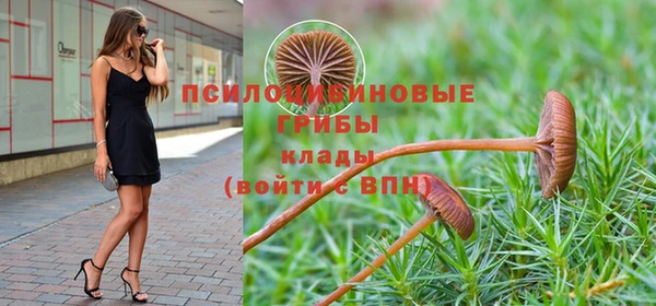 амф Горно-Алтайск