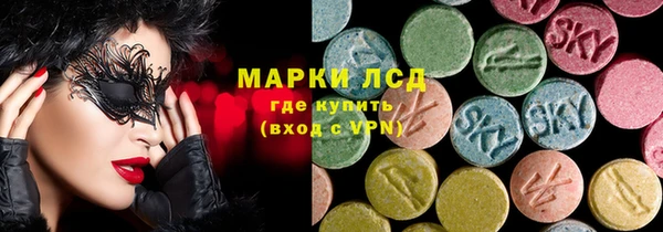 молекула духа Вяземский