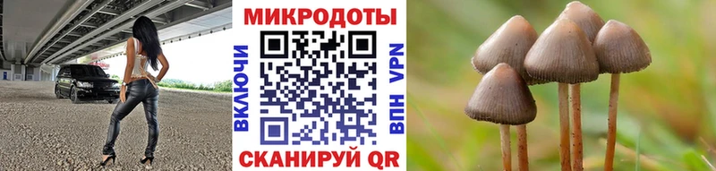 Галлюциногенные грибы прущие грибы  Купить  Пикалёво 